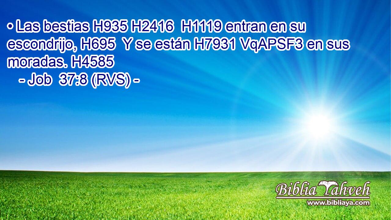• Las bestias H935 H2416  H1119 entran en su escondrijo, H695  Y se están H7931 VqAPSF3 en sus moradas. H4585  