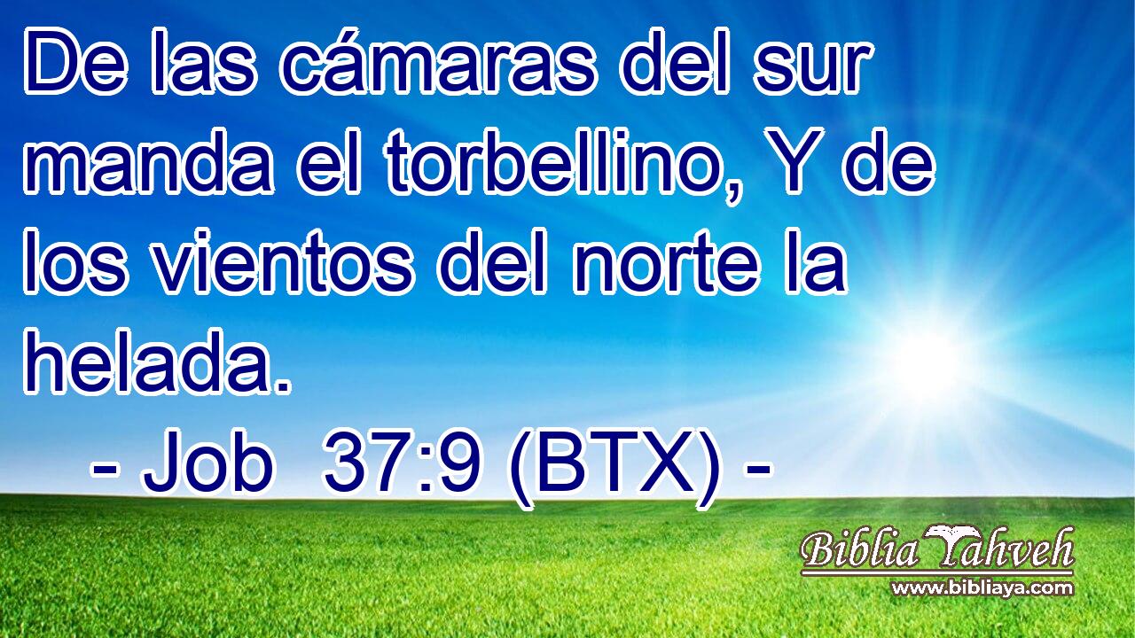 De las cámaras del sur manda el torbellino, Y de los vientos del norte la helada.
