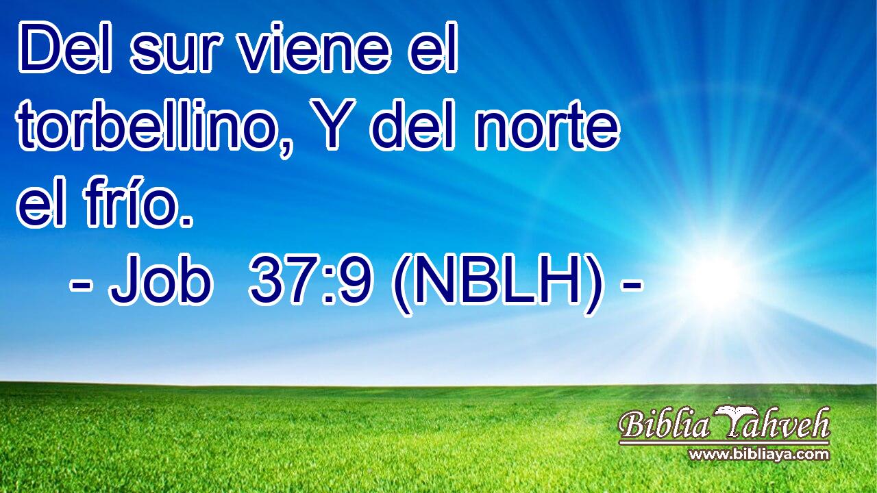  Del sur viene el torbellino, Y del norte el frío. 