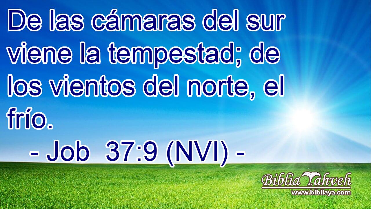  De las cámaras del sur viene la tempestad; de los vientos del norte, el frío. 