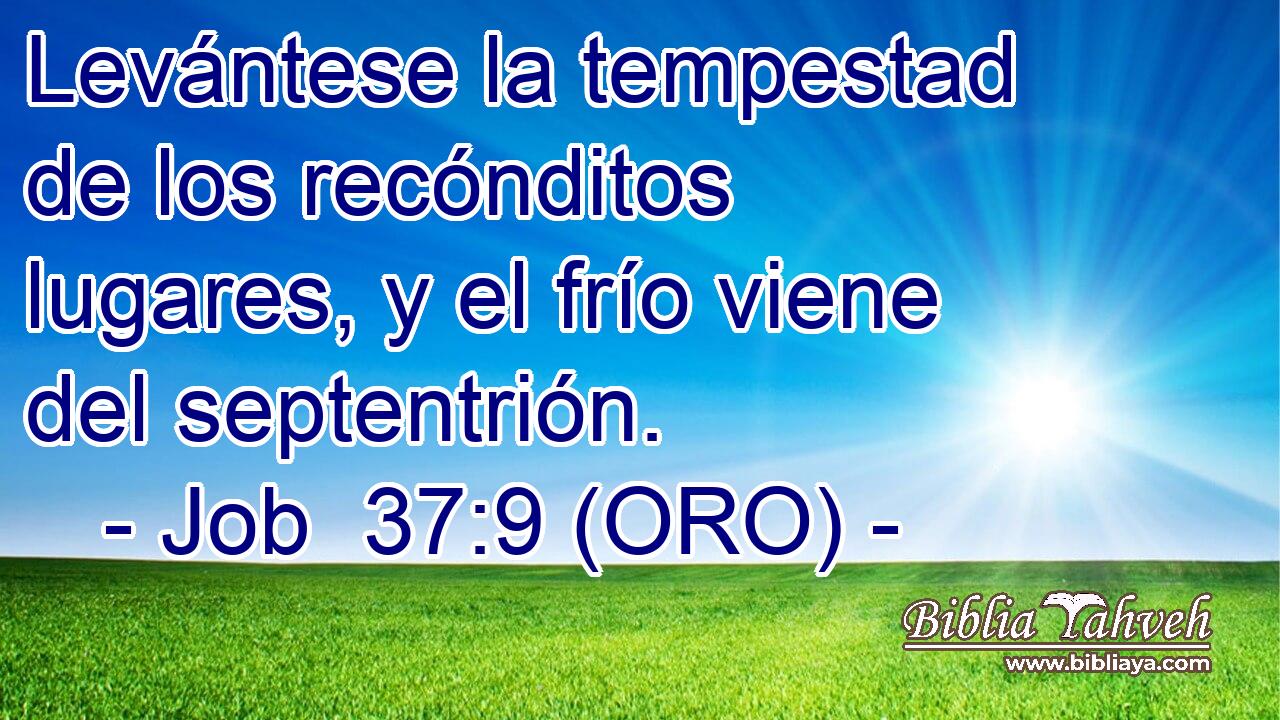  Levántese la tempestad de los recónditos lugares, y el frío viene del septentrión. 