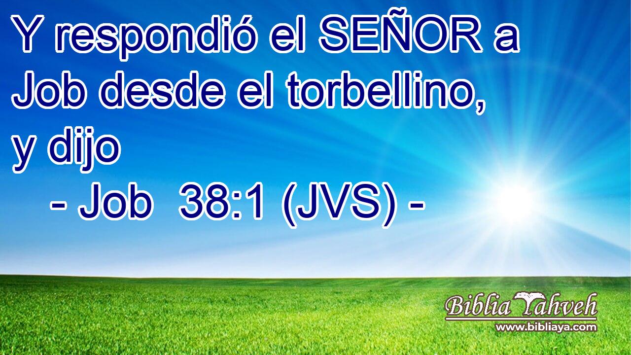 Y respondió el SEÑOR a Job desde el torbellino, y dijo