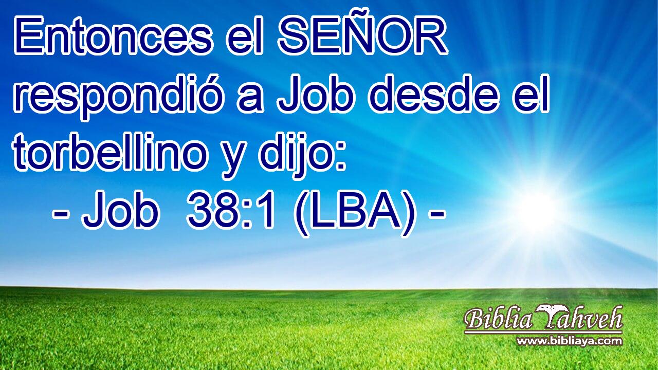 Entonces el SEÑOR respondió a Job desde el torbellino y dijo: