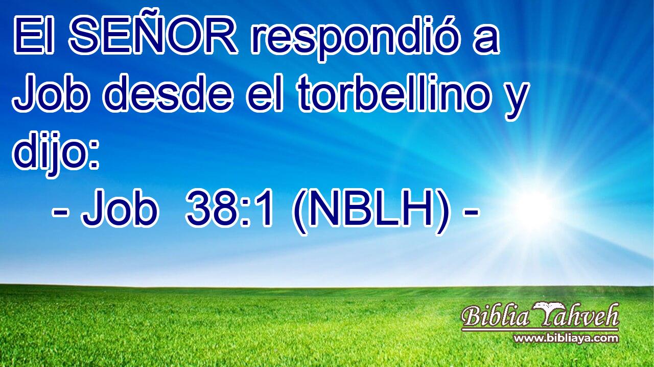  El SEÑOR respondió a Job desde el torbellino y dijo: 
