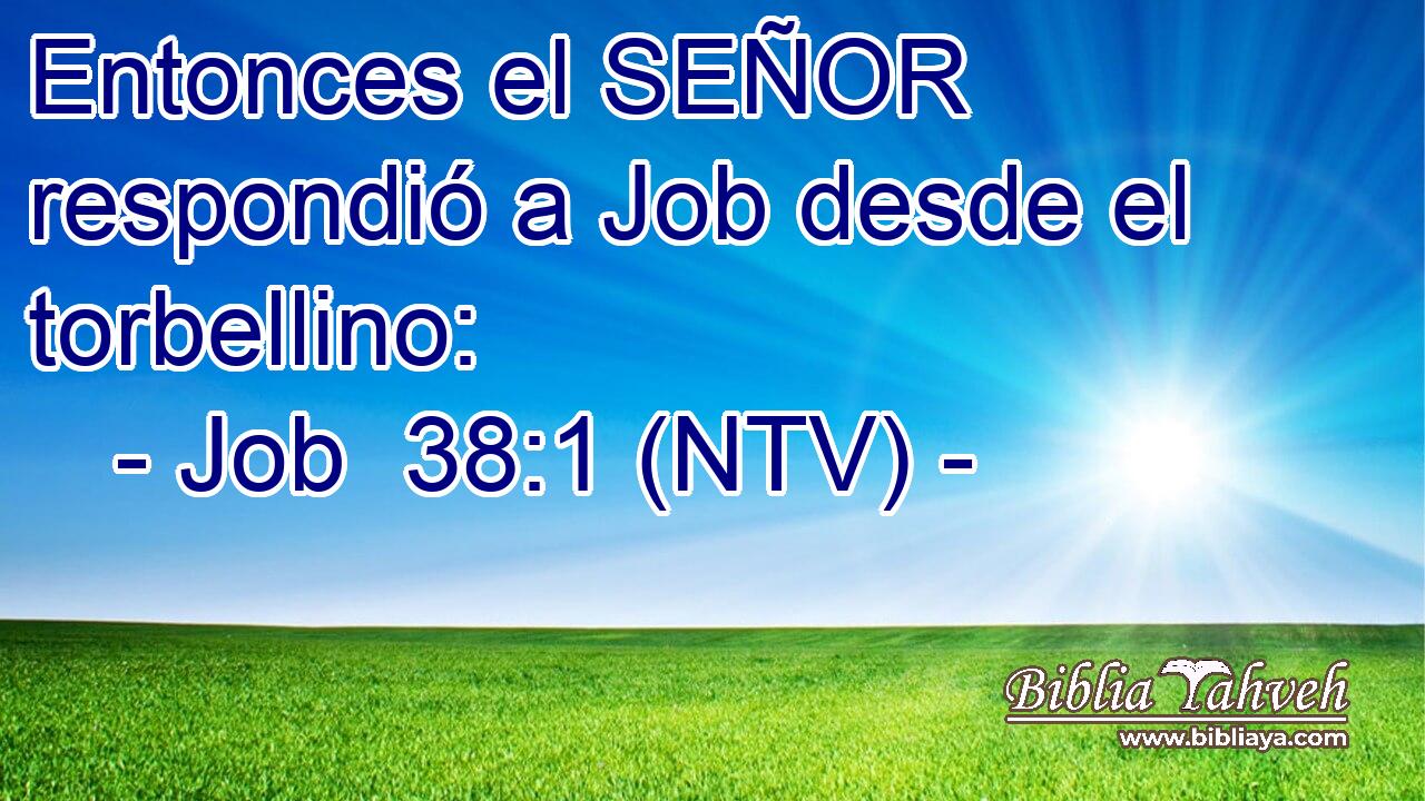 Entonces el SEÑOR respondió a Job desde el torbellino: