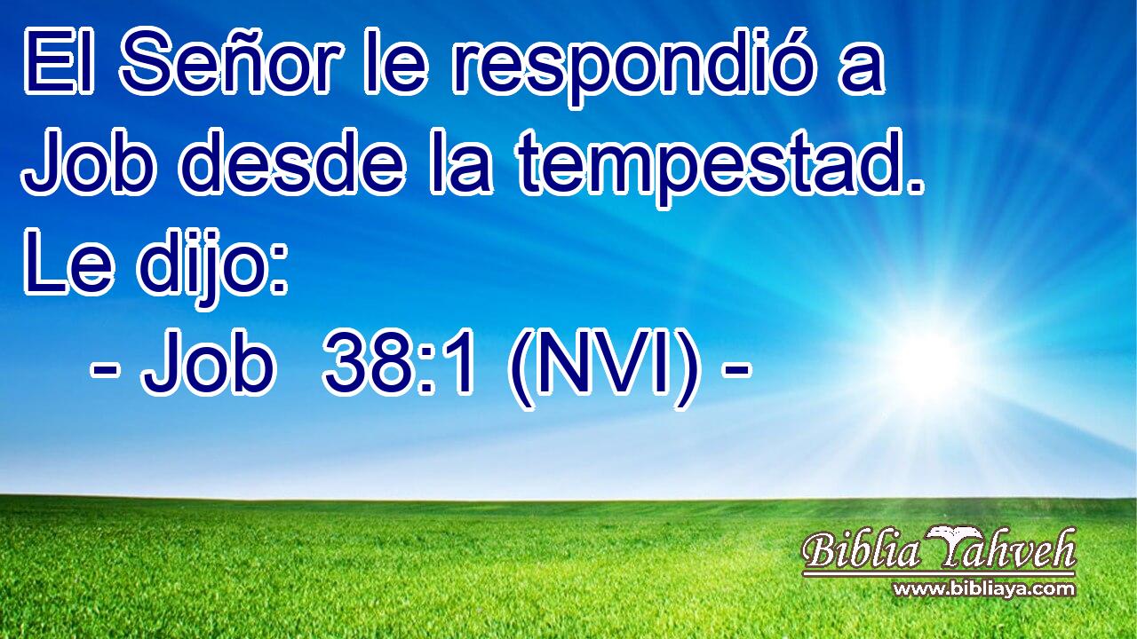 El Señor le respondió a Job desde la tempestad. Le dijo: 