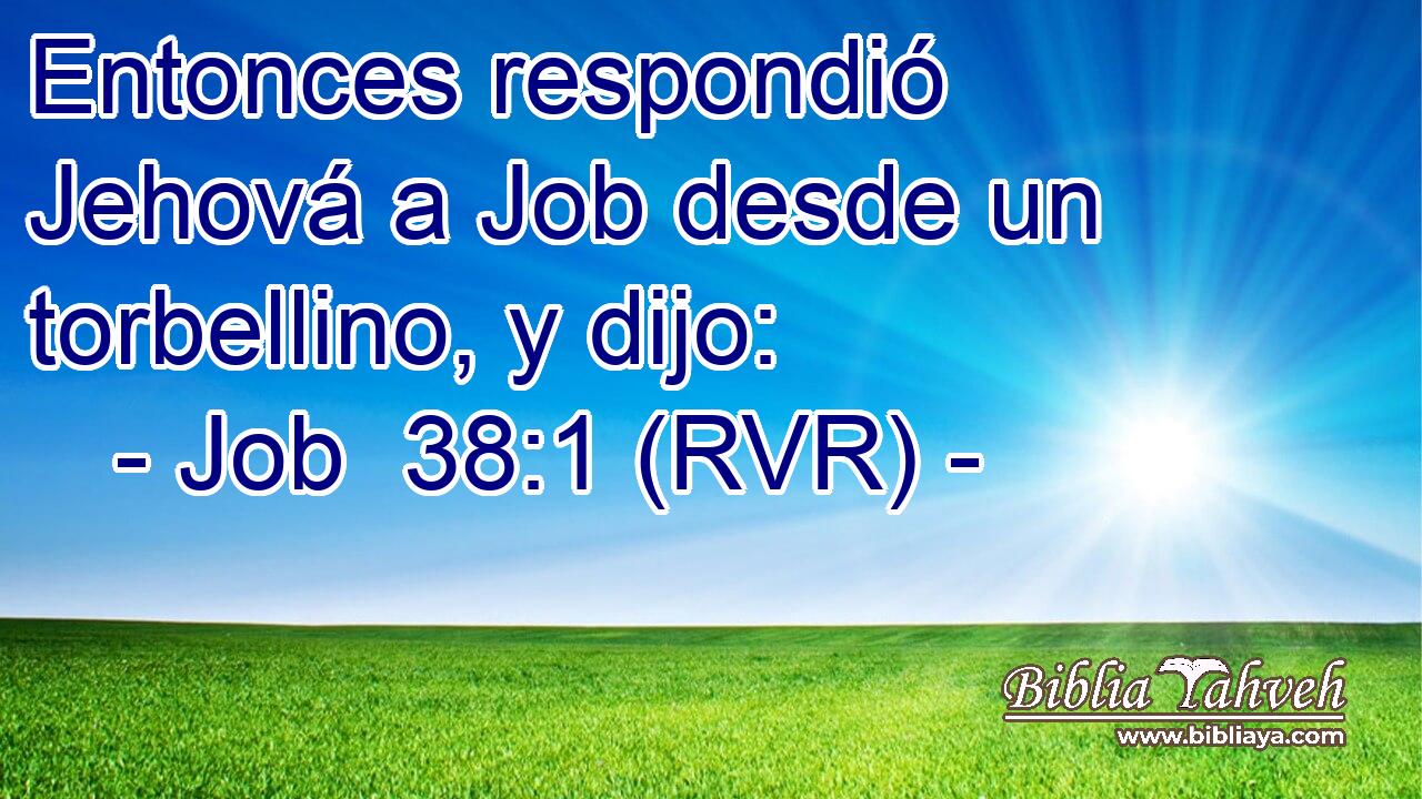 Entonces respondió Jehová a Job desde un torbellino, y dijo: