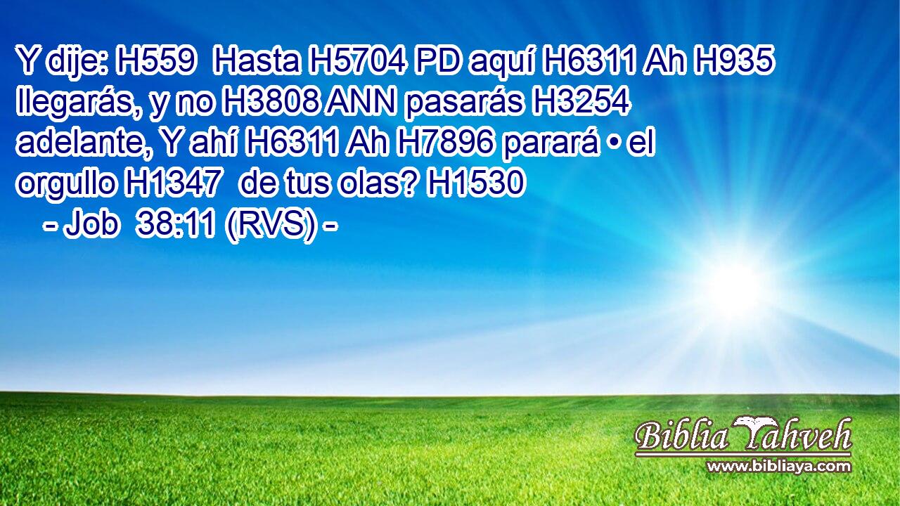 Y dije: H559  Hasta H5704 PD aquí H6311 Ah H935 llegarás, y no H3808 ANN pasarás H3254  adelante, Y ahí H6311 Ah H7896 parará • el orgullo H1347  de tus olas? H1530  