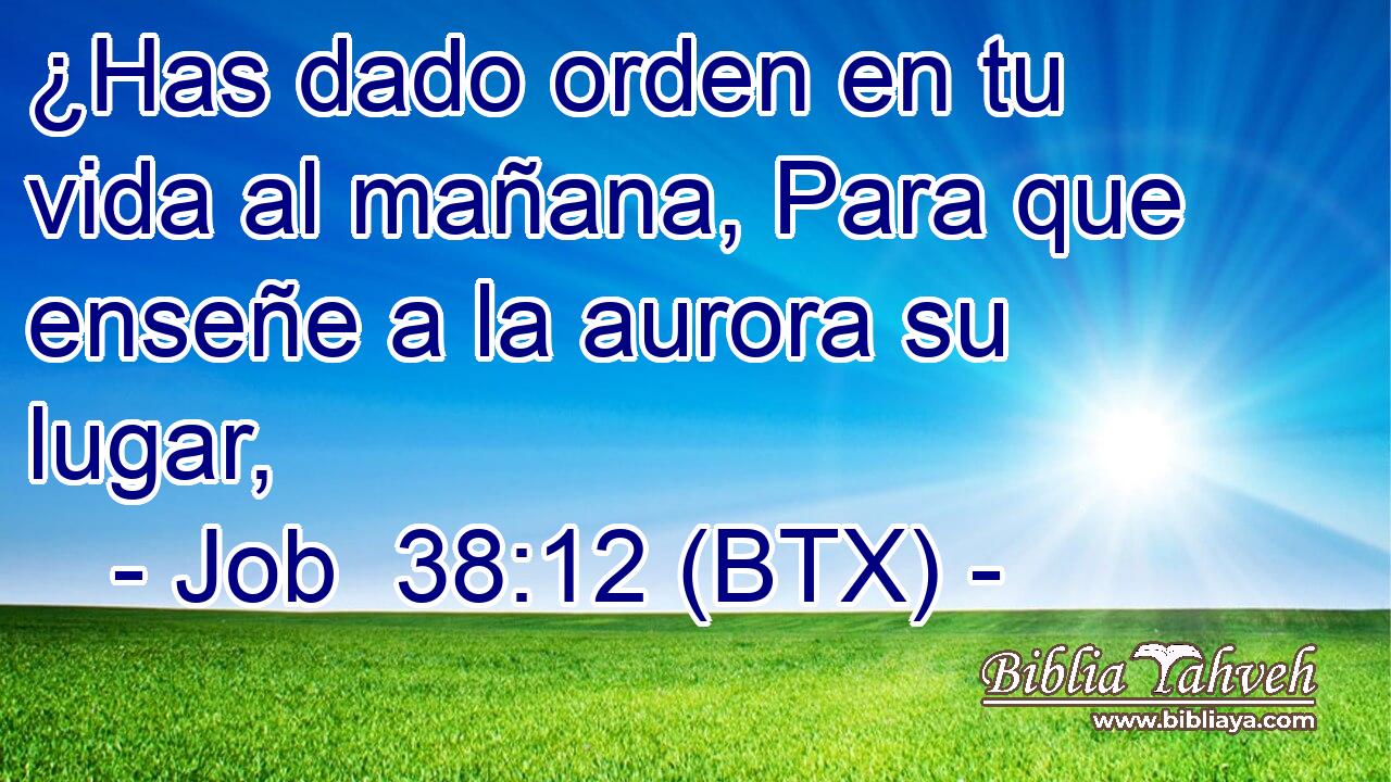 ¿Has dado orden en tu vida al mañana, Para que enseñe a la aurora su lugar,