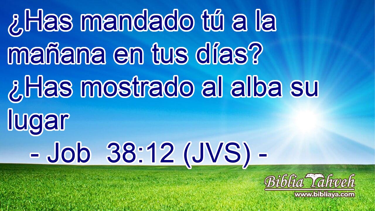¿Has mandado tú a la mañana en tus días? ¿Has mostrado al alba su lugar