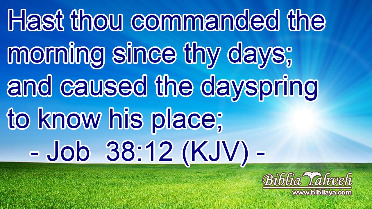 Job 38:12 (Kjv) - Hast Thou Commanded The Morning Since Thy Days;...