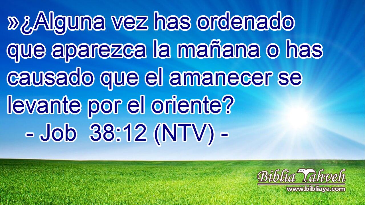 »¿Alguna vez has ordenado que aparezca la mañana o has causado que el amanecer se levante por el oriente?