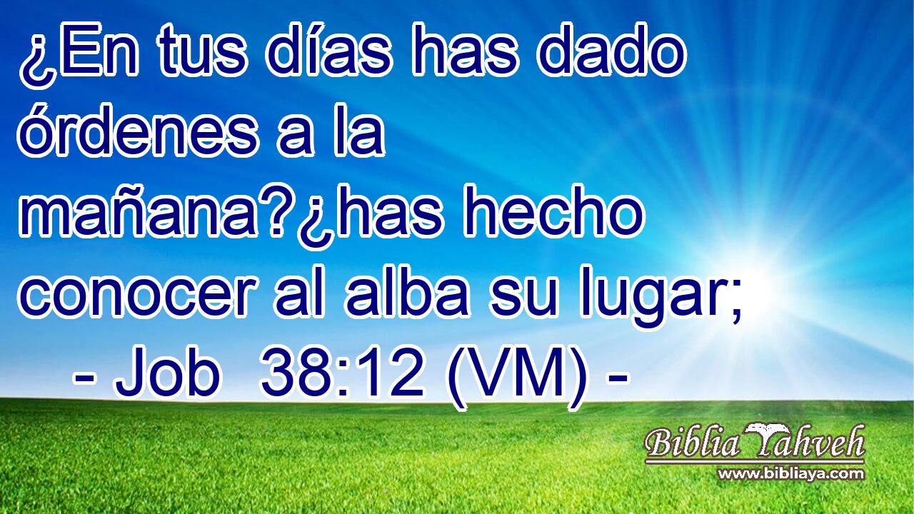  ¿En tus días has dado órdenes a la mañana?¿has hecho conocer al alba su lugar; 