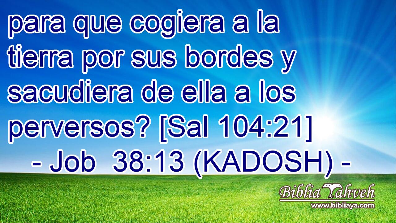  para que cogiera a la tierra por sus bordes y sacudiera de ella a los perversos? [Sal 104:21] 
