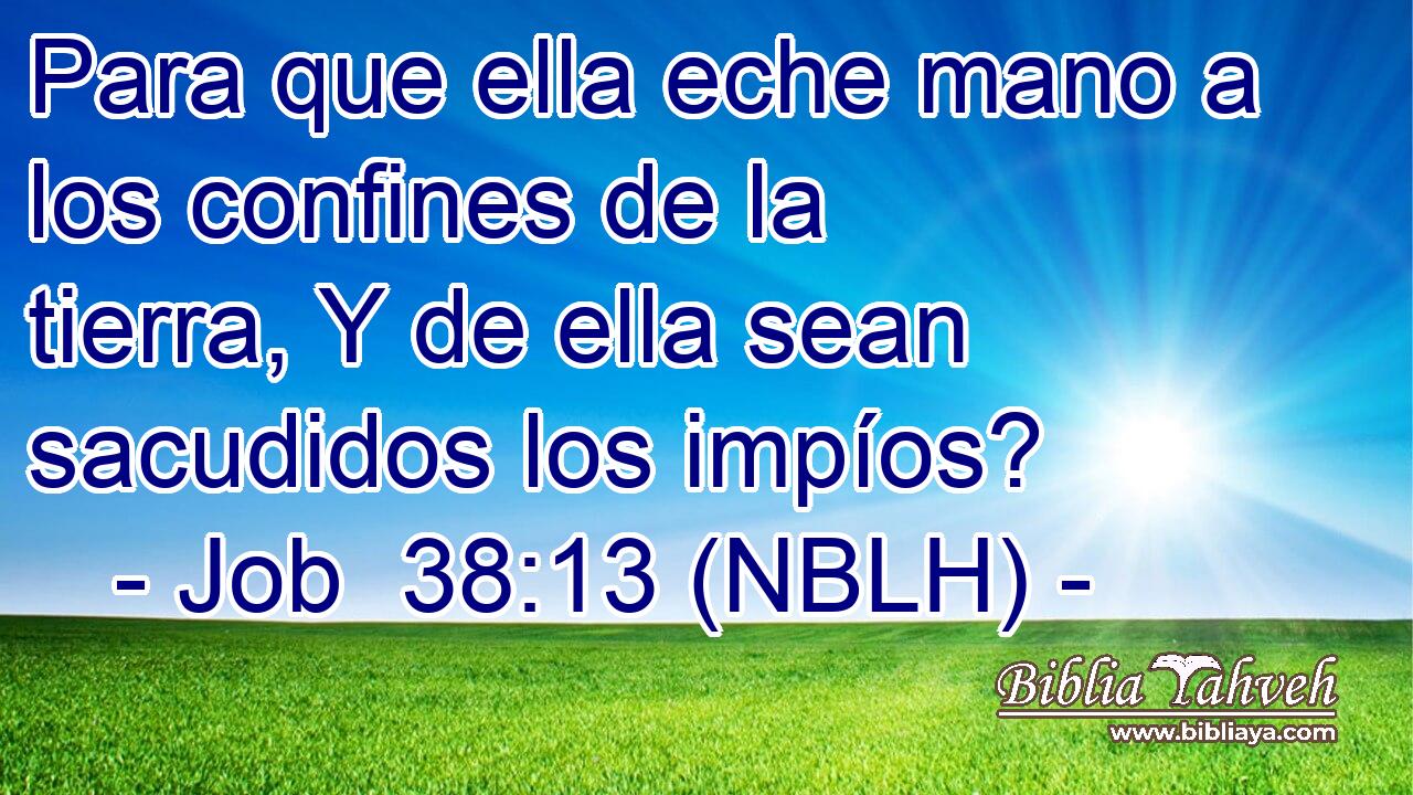  Para que ella eche mano a los confines de la tierra, Y de ella sean sacudidos los impíos? 