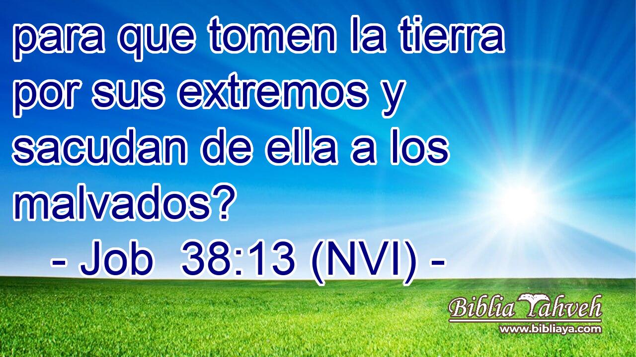  para que tomen la tierra por sus extremos y sacudan de ella a los malvados? 