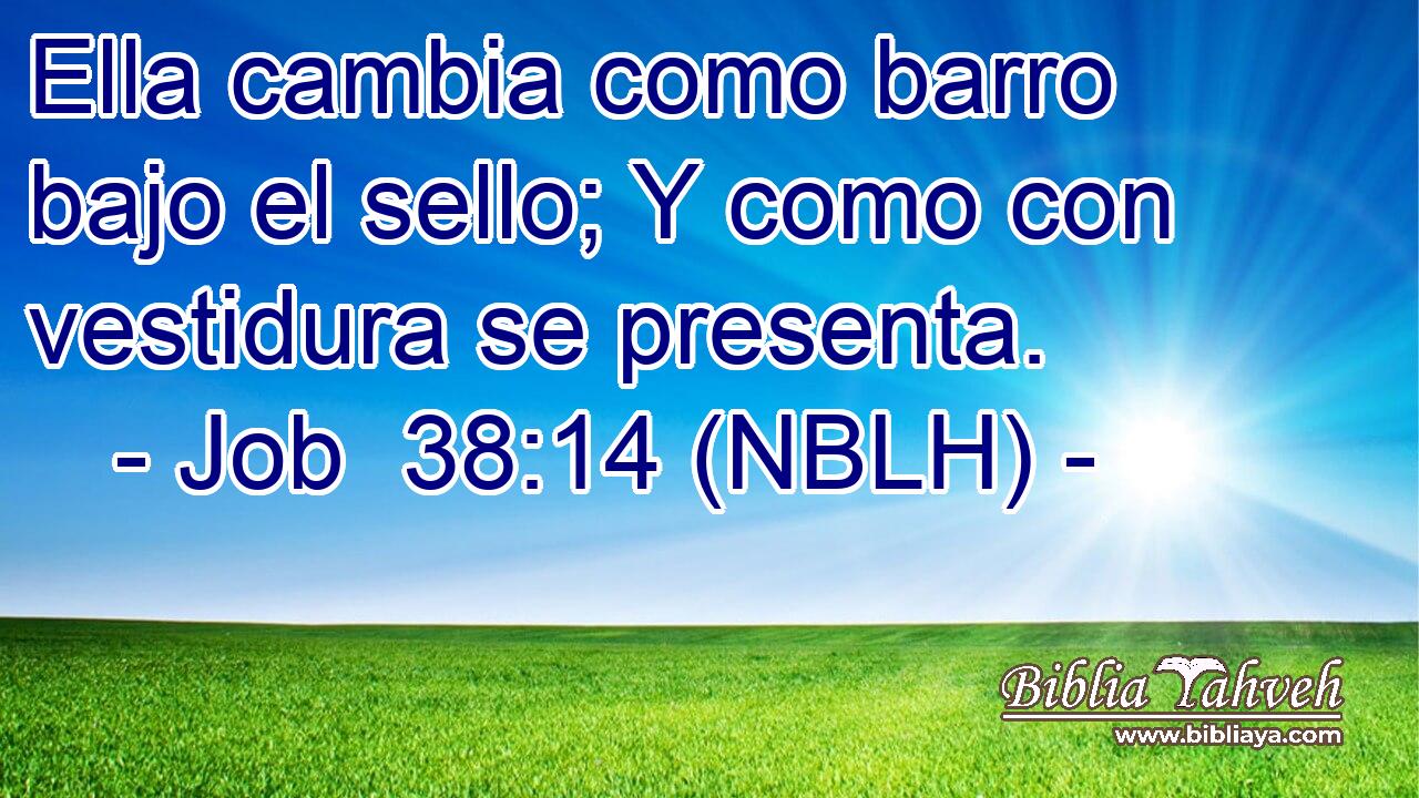  Ella cambia como barro bajo el sello; Y como con vestidura se presenta. 