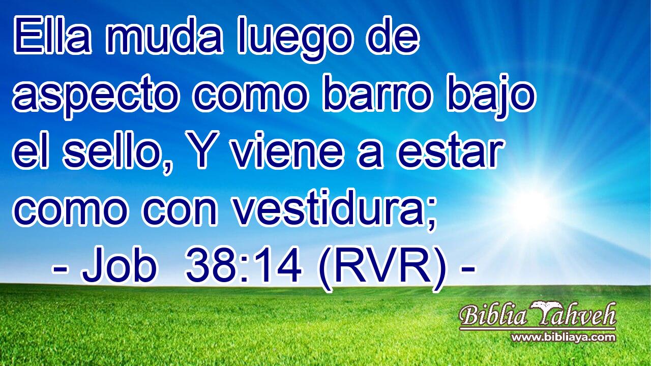 Ella muda luego de aspecto como barro bajo el sello, Y viene a estar como con vestidura;