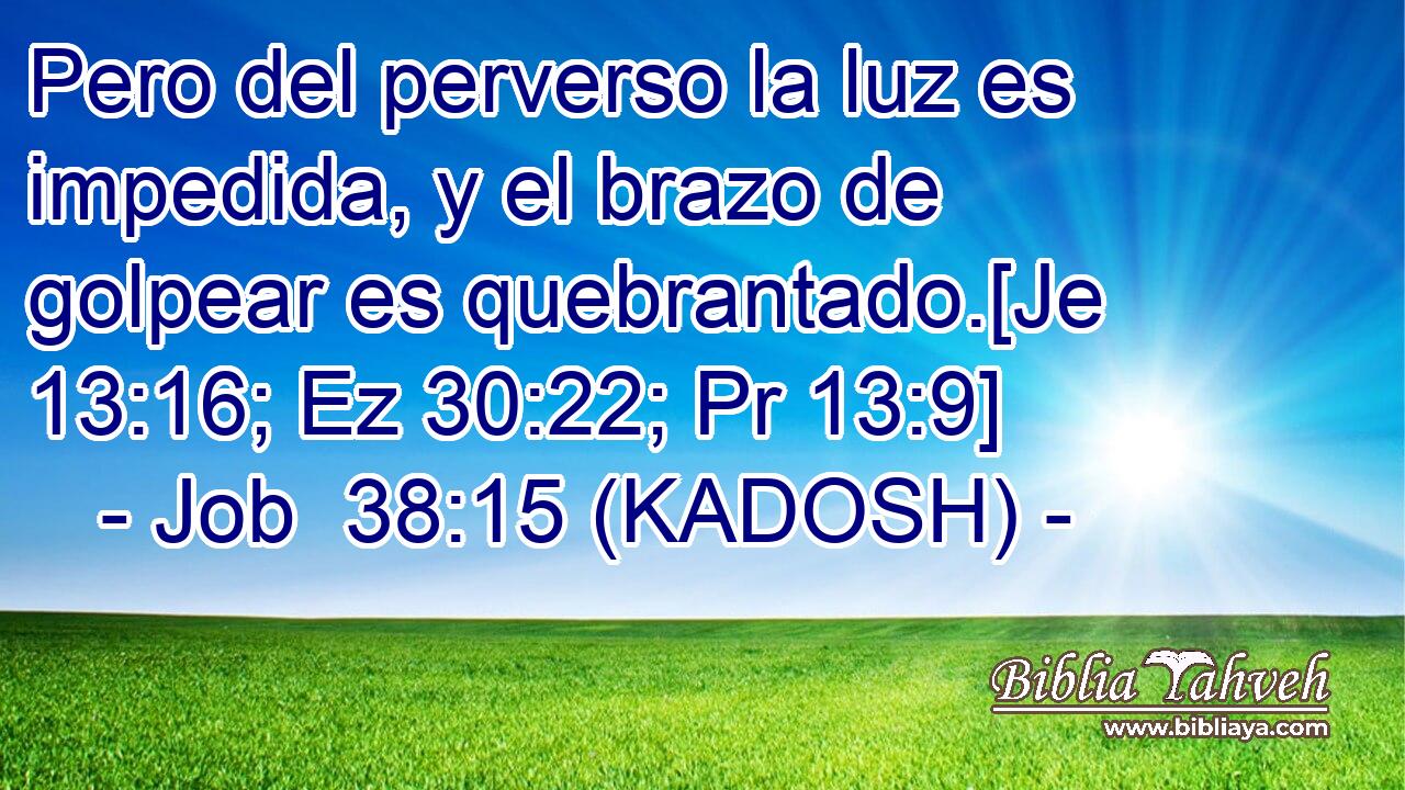  Pero del perverso la luz es impedida, y el brazo de golpear es quebrantado.[Je 13:16; Ez 30:22; Pr 13:9] 