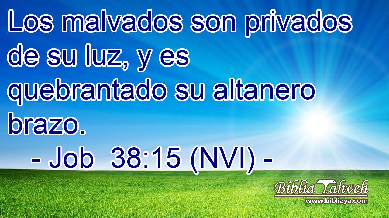  Los malvados son privados de su luz, y es quebrantado su altanero brazo. 