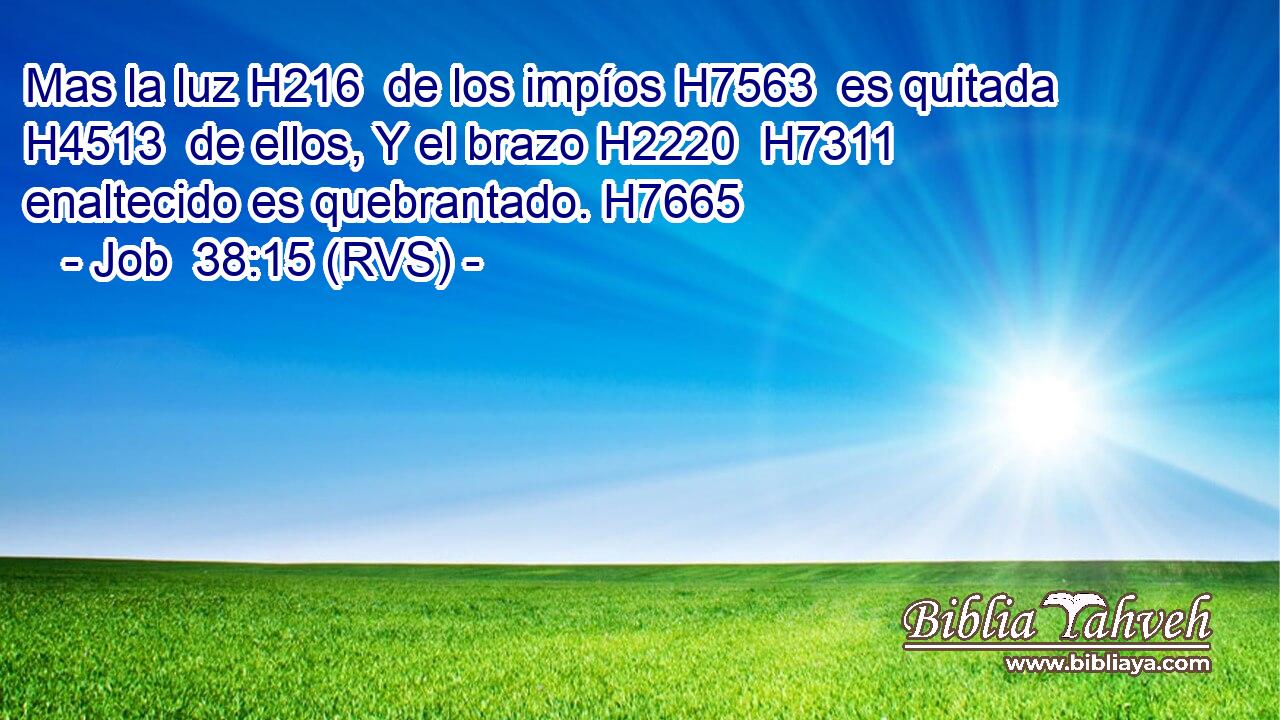 Mas la luz H216  de los impíos H7563  es quitada H4513  de ellos, Y el brazo H2220  H7311 enaltecido es quebrantado. H7665  
