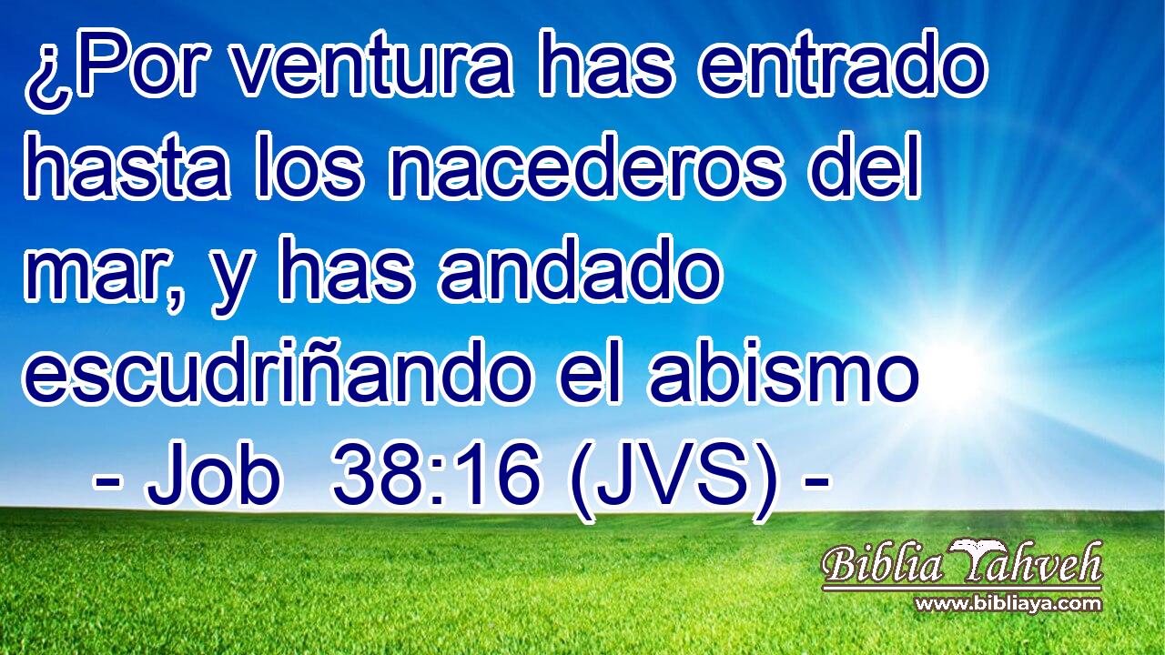¿Por ventura has entrado hasta los nacederos del mar, y has andado escudriñando el abismo