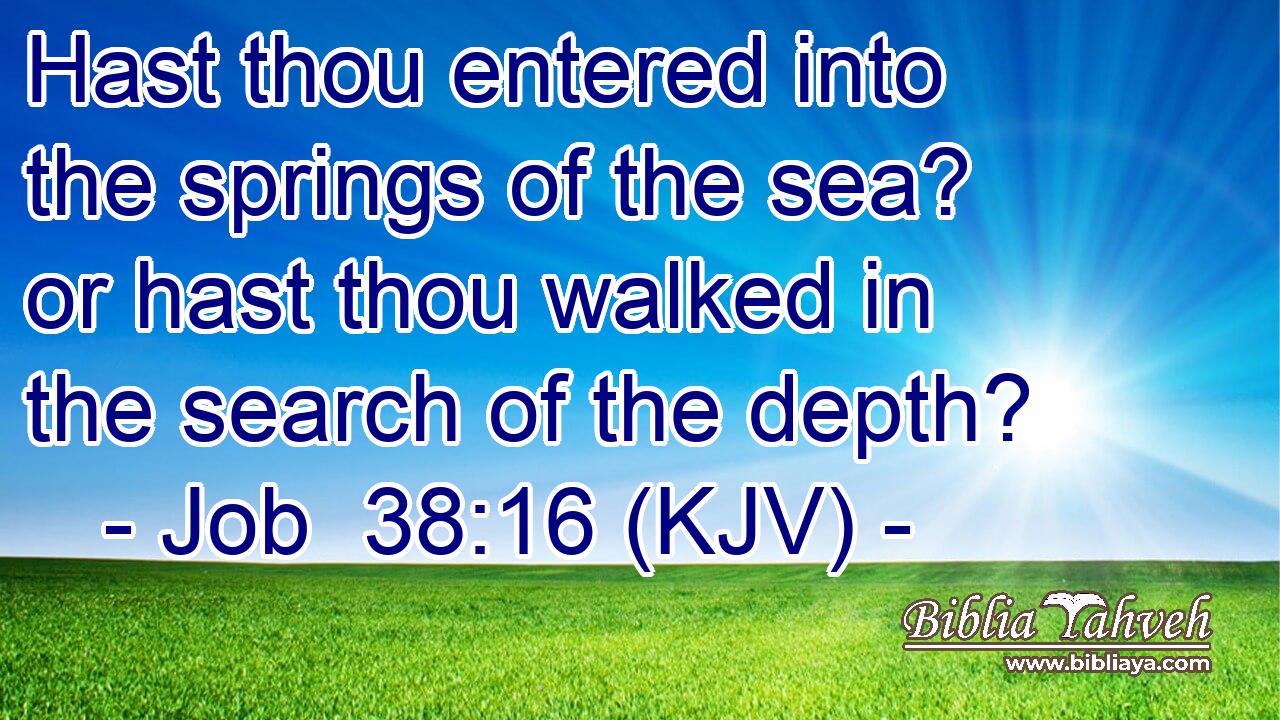 Hast thou entered into the springs of the sea? or hast thou walked in the search of the depth?