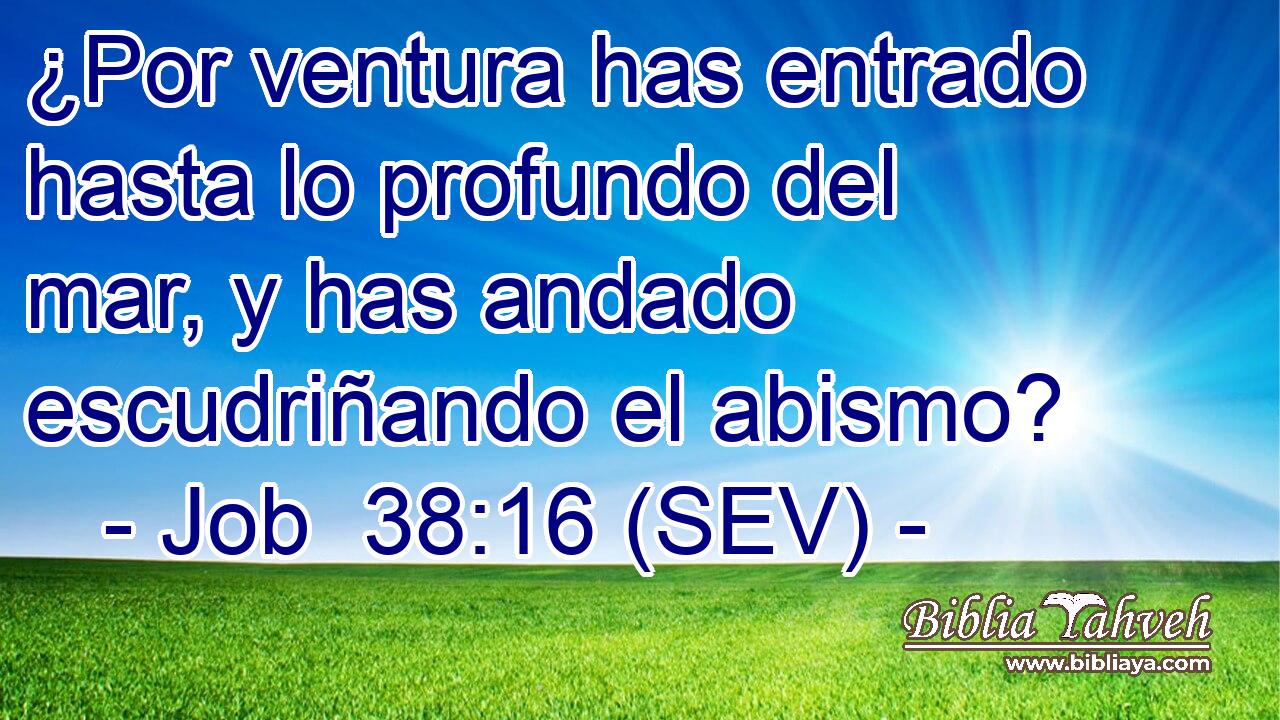 ¿Por ventura has entrado hasta lo profundo del mar, y has andado escudriñando el abismo?