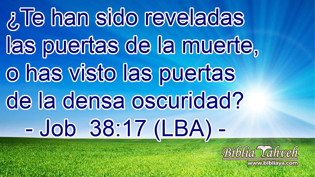 ¿Te han sido reveladas las puertas de la muerte, o has visto las puertas de la densa oscuridad?
