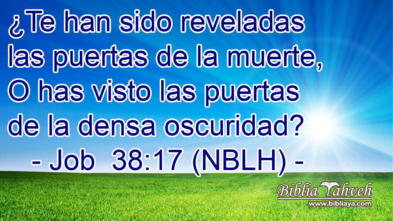  ¿Te han sido reveladas las puertas de la muerte, O has visto las puertas de la densa oscuridad? 