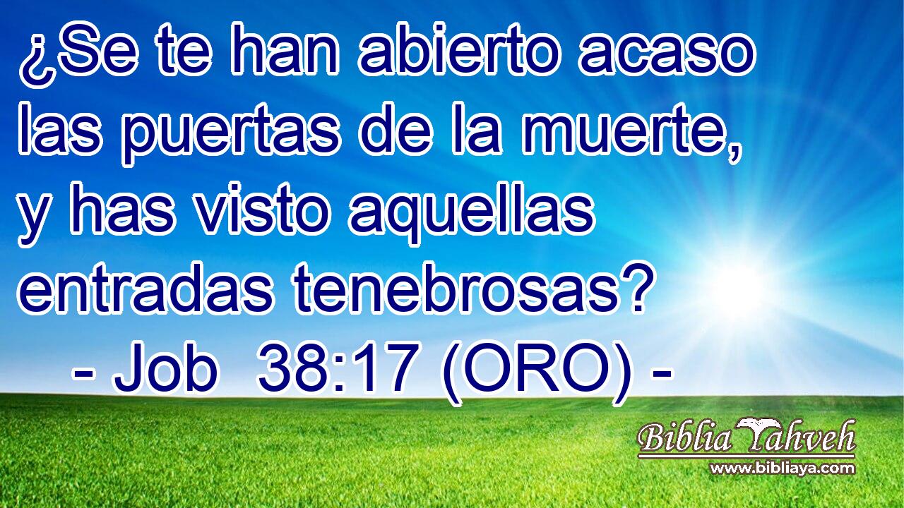  ¿Se te han abierto acaso las puertas de la muerte, y has visto aquellas entradas tenebrosas? 