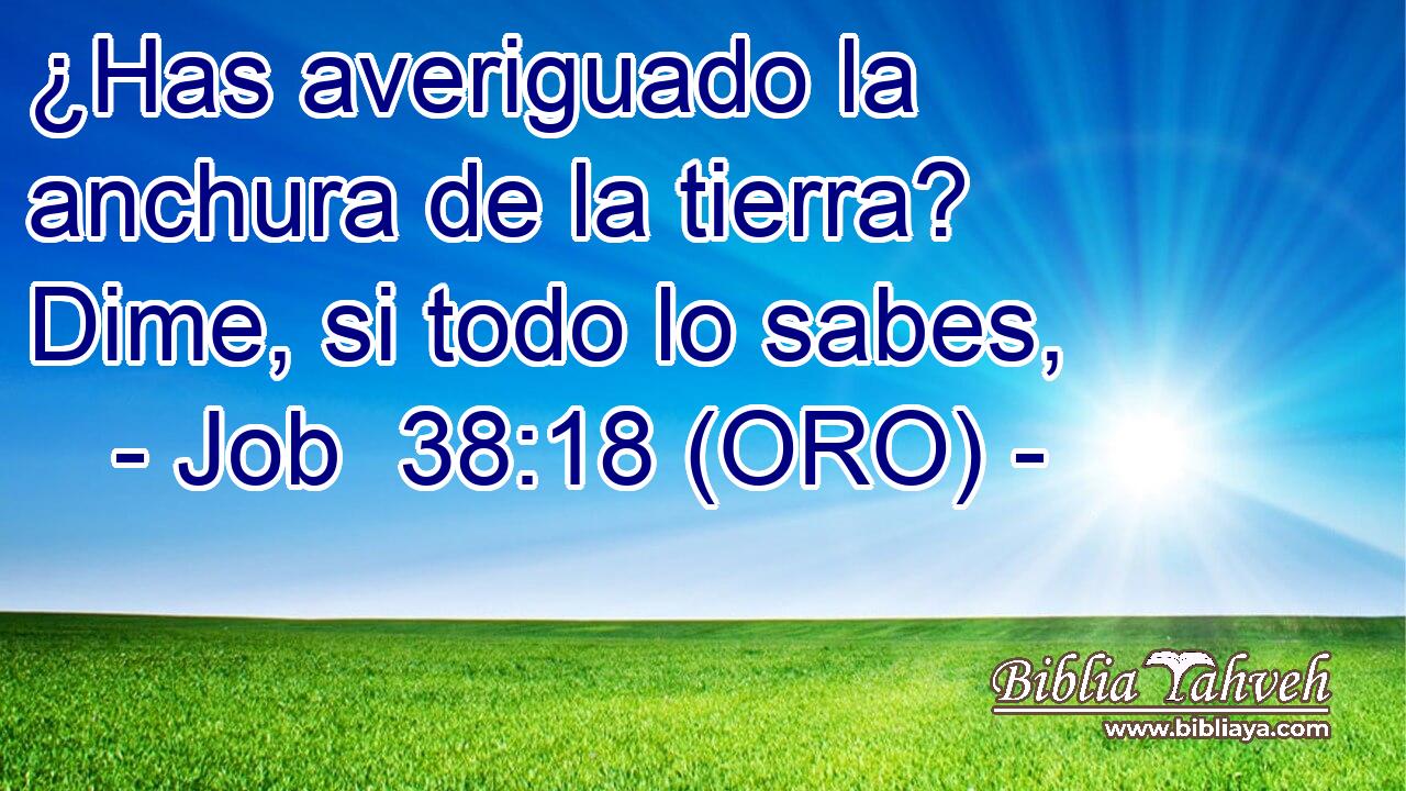  ¿Has averiguado la anchura de la tierra? Dime, si todo lo sabes, 