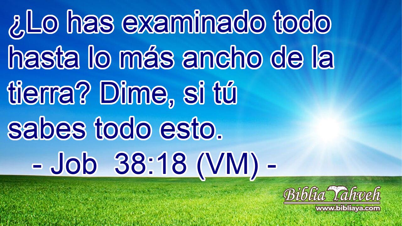  ¿Lo has examinado todo hasta lo más ancho de la tierra? Dime, si tú sabes todo esto. 