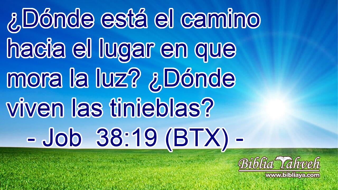 ¿Dónde está el camino hacia el lugar en que mora la luz? ¿Dónde viven las tinieblas?