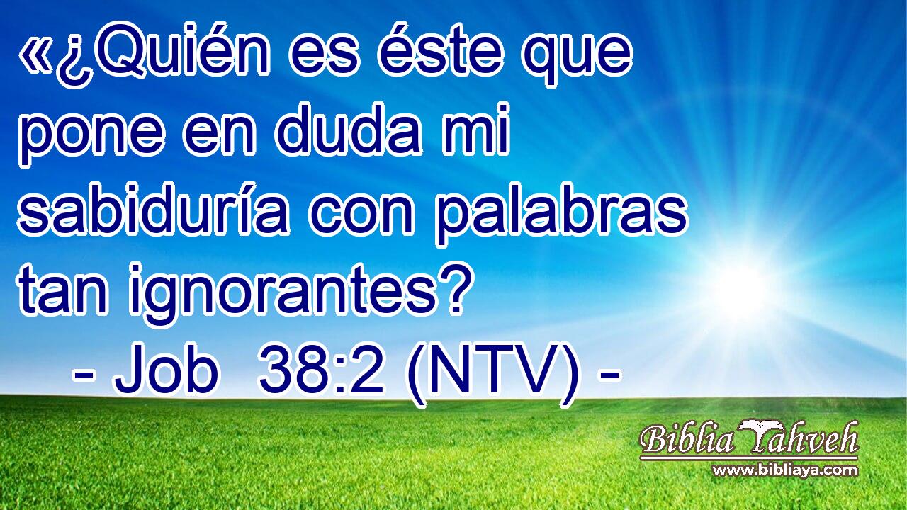 «¿Quién es éste que pone en duda mi sabiduría con palabras tan ignorantes?