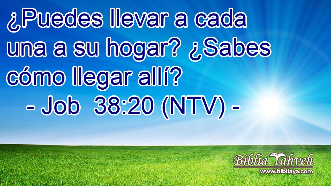 ¿Puedes llevar a cada una a su hogar? ¿Sabes cómo llegar allí?