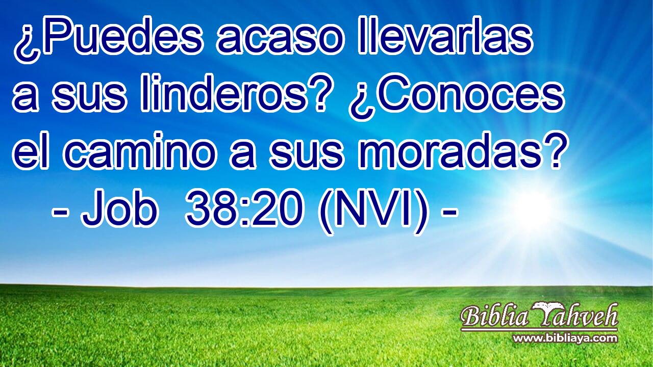  ¿Puedes acaso llevarlas a sus linderos? ¿Conoces el camino a sus moradas? 