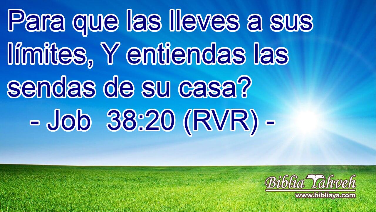 Para que las lleves a sus límites, Y entiendas las sendas de su casa?