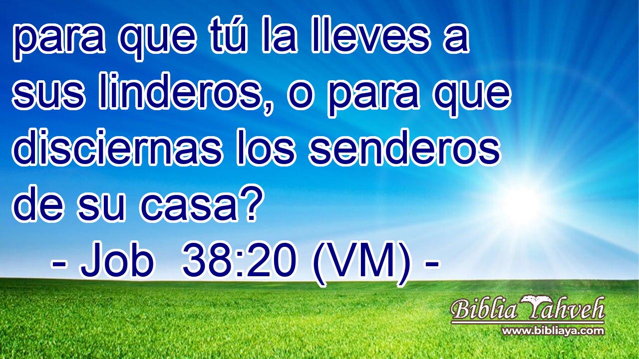  para que tú la lleves a sus linderos, o para que disciernas los senderos de su casa? 