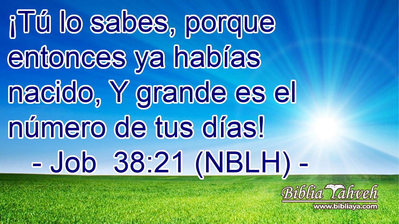  ¡Tú lo sabes, porque entonces ya habías nacido, Y grande es el número de tus días! 