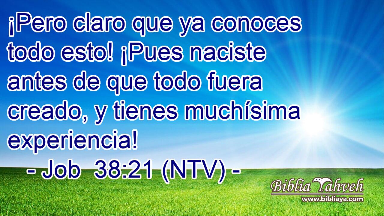 ¡Pero claro que ya conoces todo esto! ¡Pues naciste antes de que todo fuera creado, y tienes muchísima experiencia!