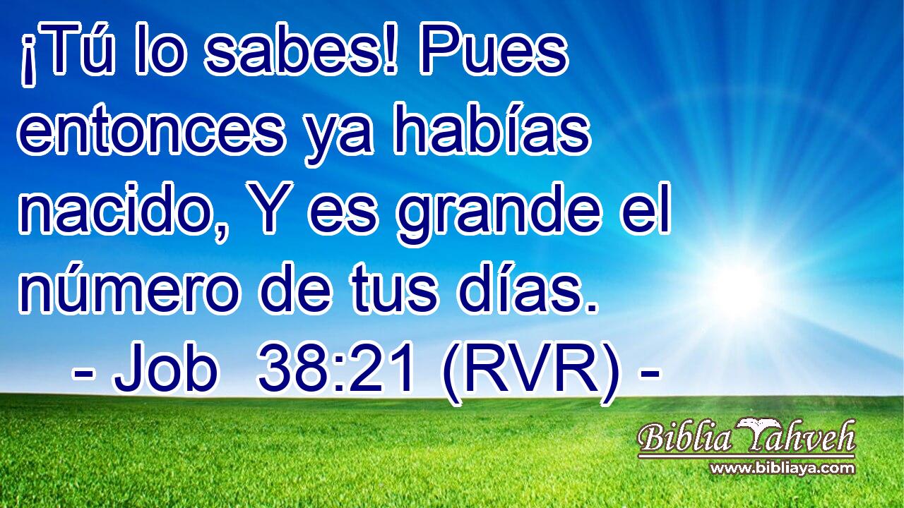 ¡Tú lo sabes! Pues entonces ya habías nacido, Y es grande el número de tus días.