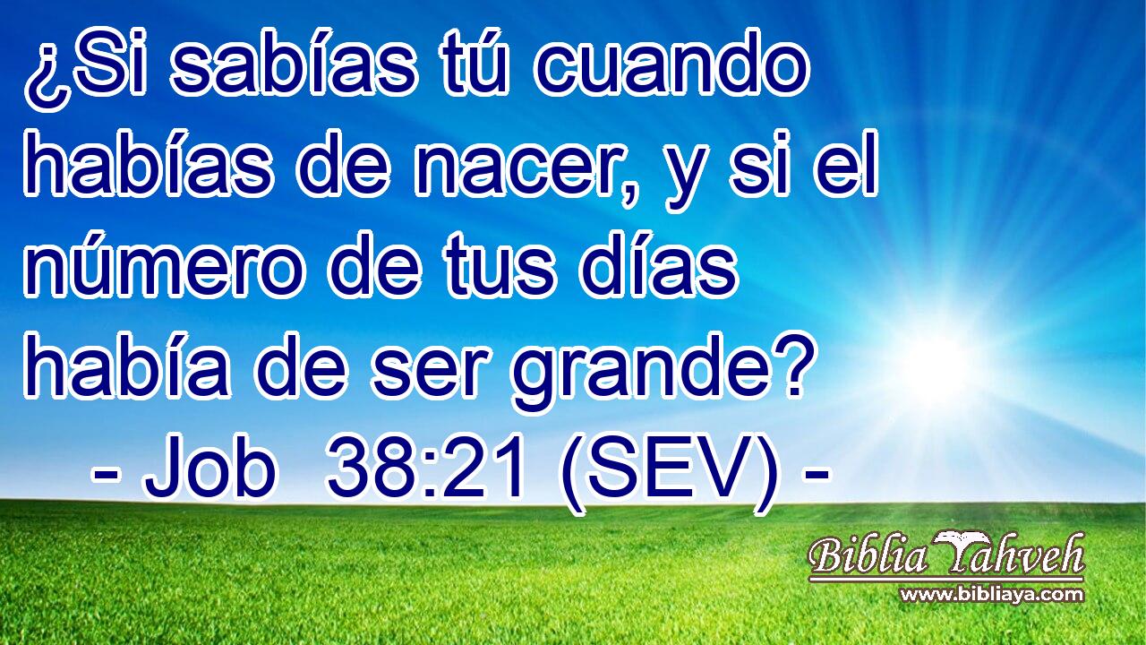 ¿Si sabías tú cuando habías de nacer, y si el número de tus días había de ser grande?