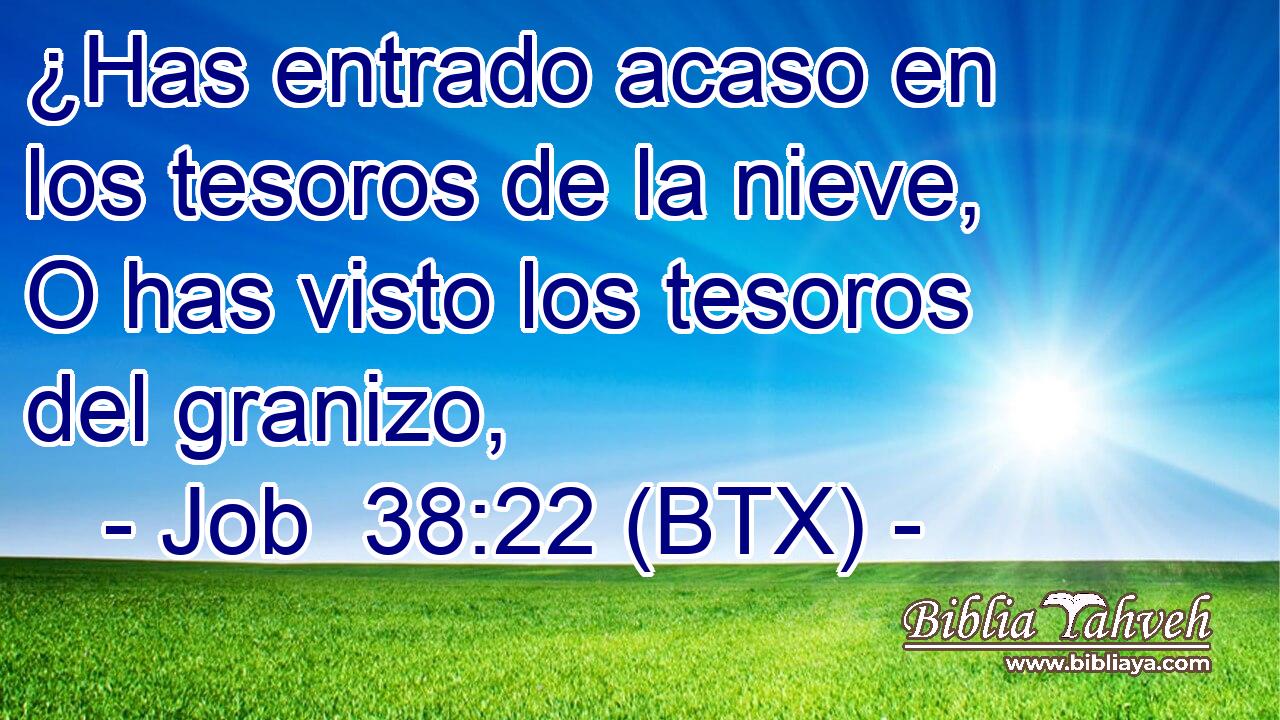 ¿Has entrado acaso en los tesoros de la nieve, O has visto los tesoros del granizo,