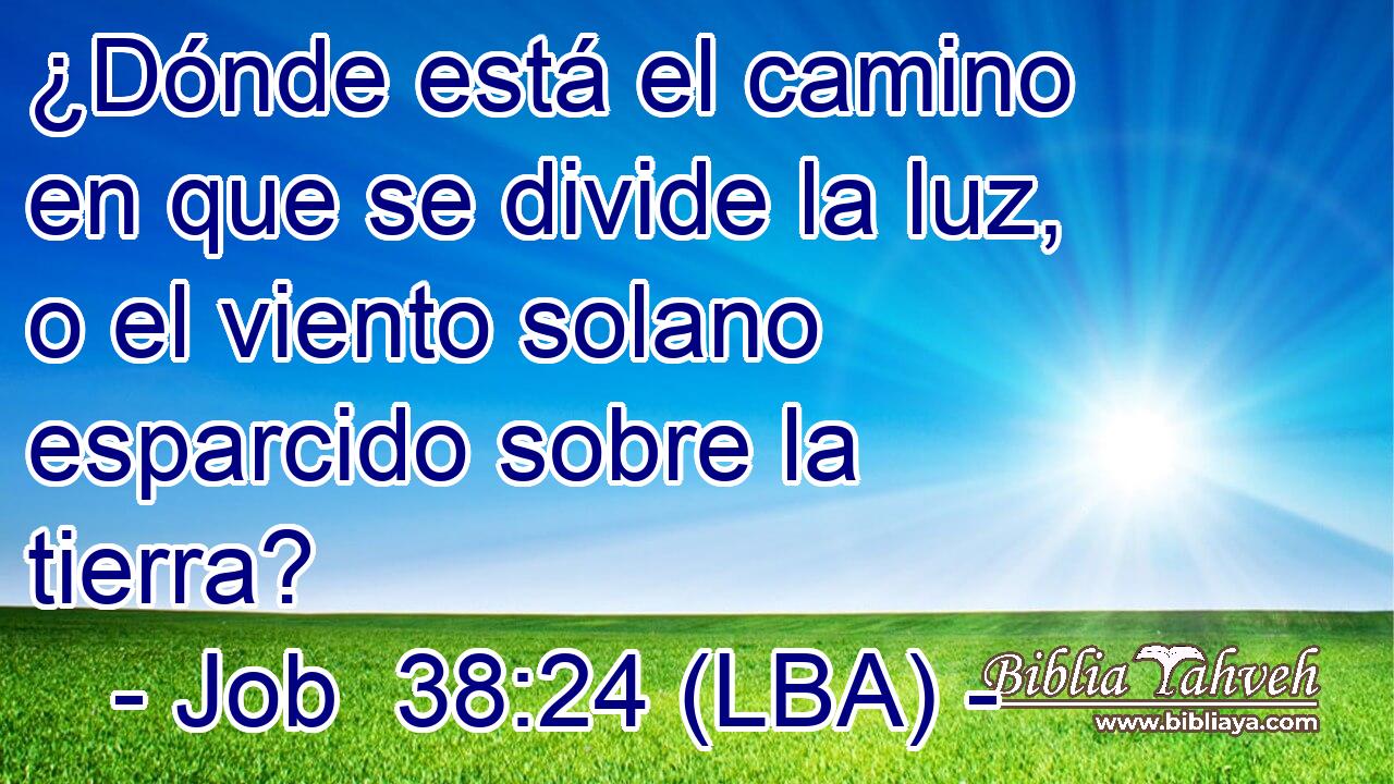 ¿Dónde está el camino en que se divide la luz, o el viento solano esparcido sobre la tierra?