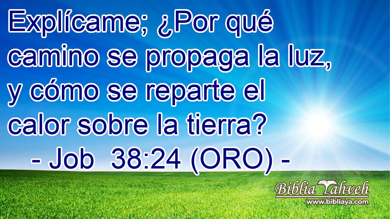  Explícame; ¿Por qué camino se propaga la luz, y cómo se reparte el calor sobre la tierra? 