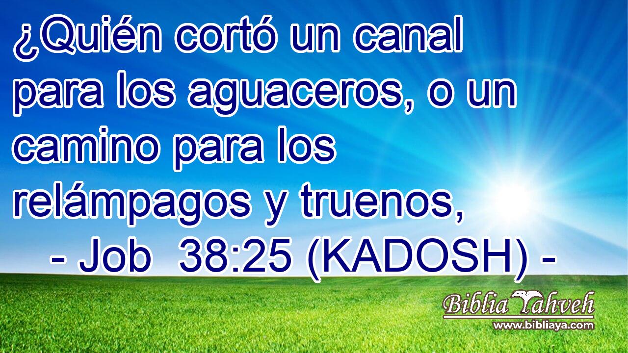  ¿Quién cortó un canal para los aguaceros, o un camino para los relámpagos y truenos, 