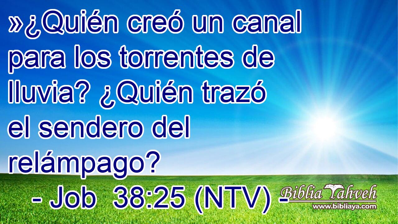 »¿Quién creó un canal para los torrentes de lluvia? ¿Quién trazó el sendero del relámpago?
