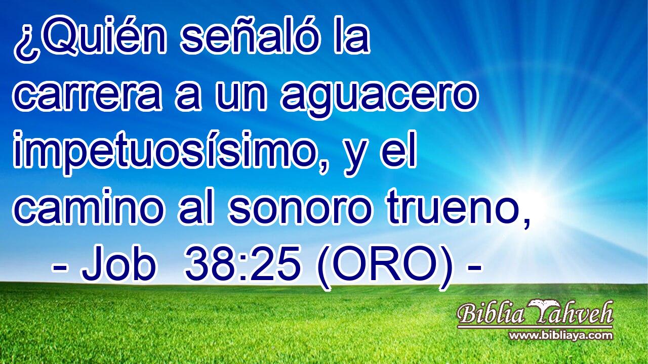  ¿Quién señaló la carrera a un aguacero impetuosísimo, y el camino al sonoro trueno, 