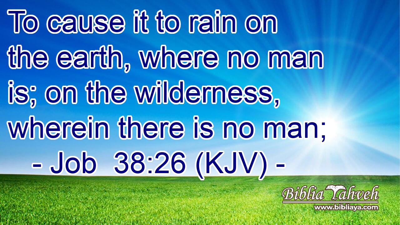 To cause it to rain on the earth, where no man is; on the wilderness, wherein there is no man;